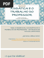A Didatica e o Trabalho Do Professor