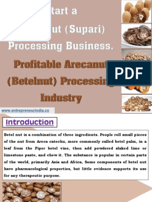 Production and Processing of Turpentine Oil