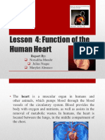Lesson 4: Function of The Human Heart: Report by