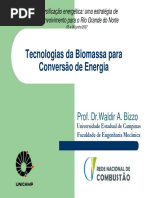 Tecnologias da Biomassa para conversão da Energia