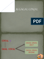 118074775-gagal-ginjal.pptx