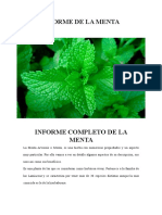 Informe de La Menta