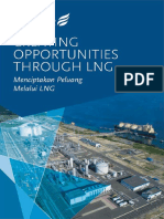 PT Donggi-Senoro LNG - Company Profile