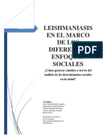 Leishmaniasis en El Marco de Los Diferentes Enfoques Sociales 1