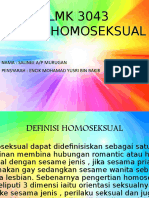 Homo Seksu Al