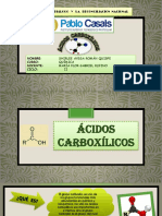Diapositivas Acidos Carboxilicos - Shirlee Roman Quispe