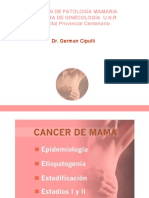 Seccion de Patología Mamaria Catedra de Ginecología U.N.R Hospital Provincial Centenario