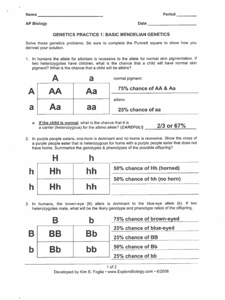 More Gene Practice 1 Key | PDF