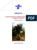 agronegócio da caprinovinocultura.pdf