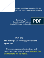 Meninges and Blood Vessels and CSF