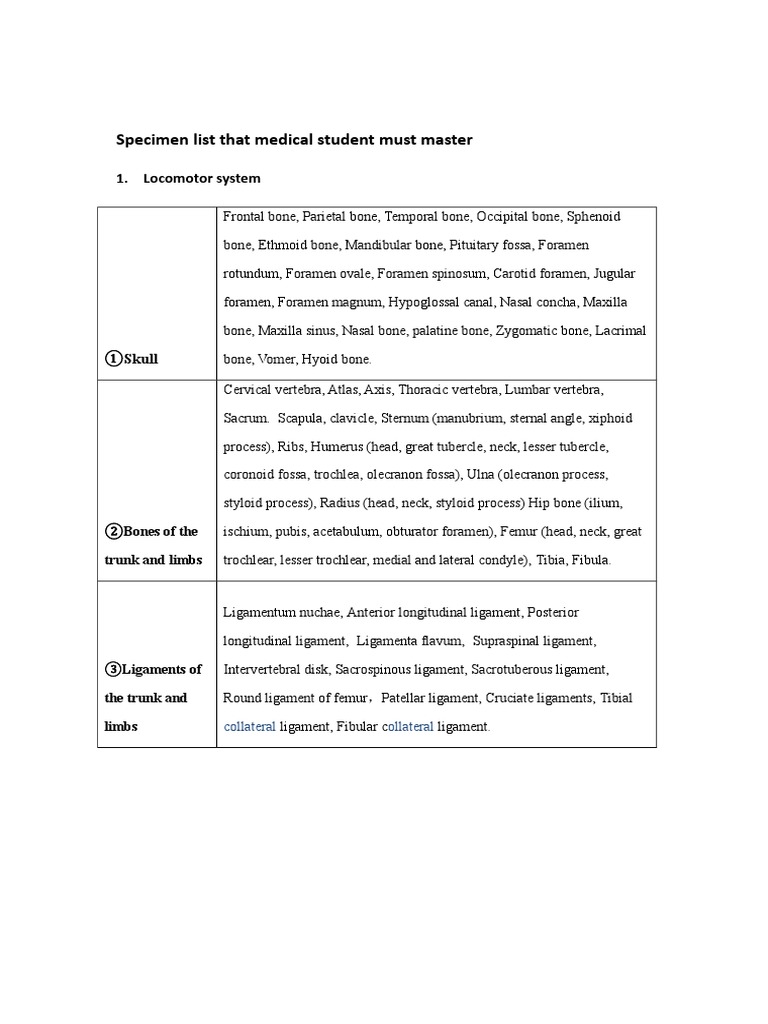 Essential Anatomy Specimen List for Students | PDF | Aorta | Vein