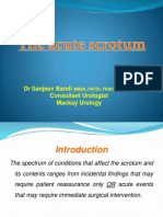 Acute Scrotum 231016 PDF