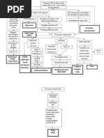 Pathway Patofisiologi Hiv Aids | PDF