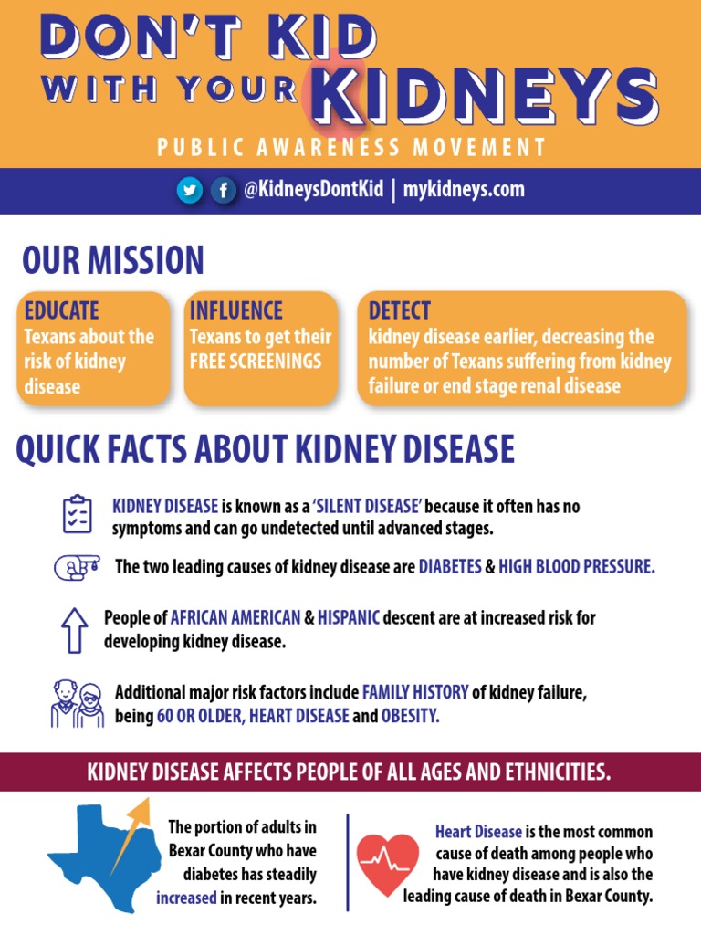 Kidney Disease Fact Sheet Chronic Kidney Disease Kidney Disease