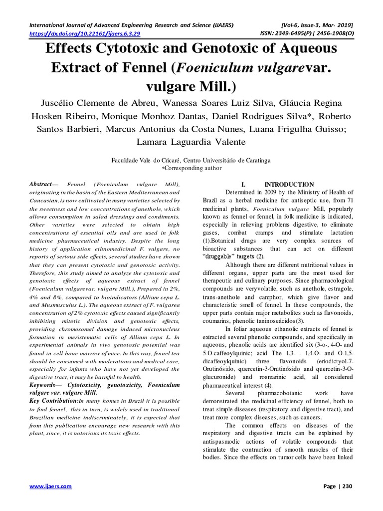 Effects Cytotoxic and Genotoxic of Aqueous Extract of Fennel