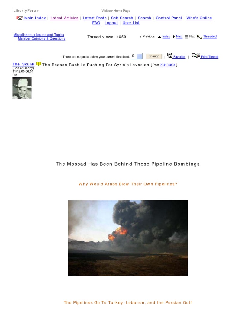 Bush Push Sy Invasion | PDF