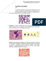 Lab Oratorio 1 Biolog I Au 2