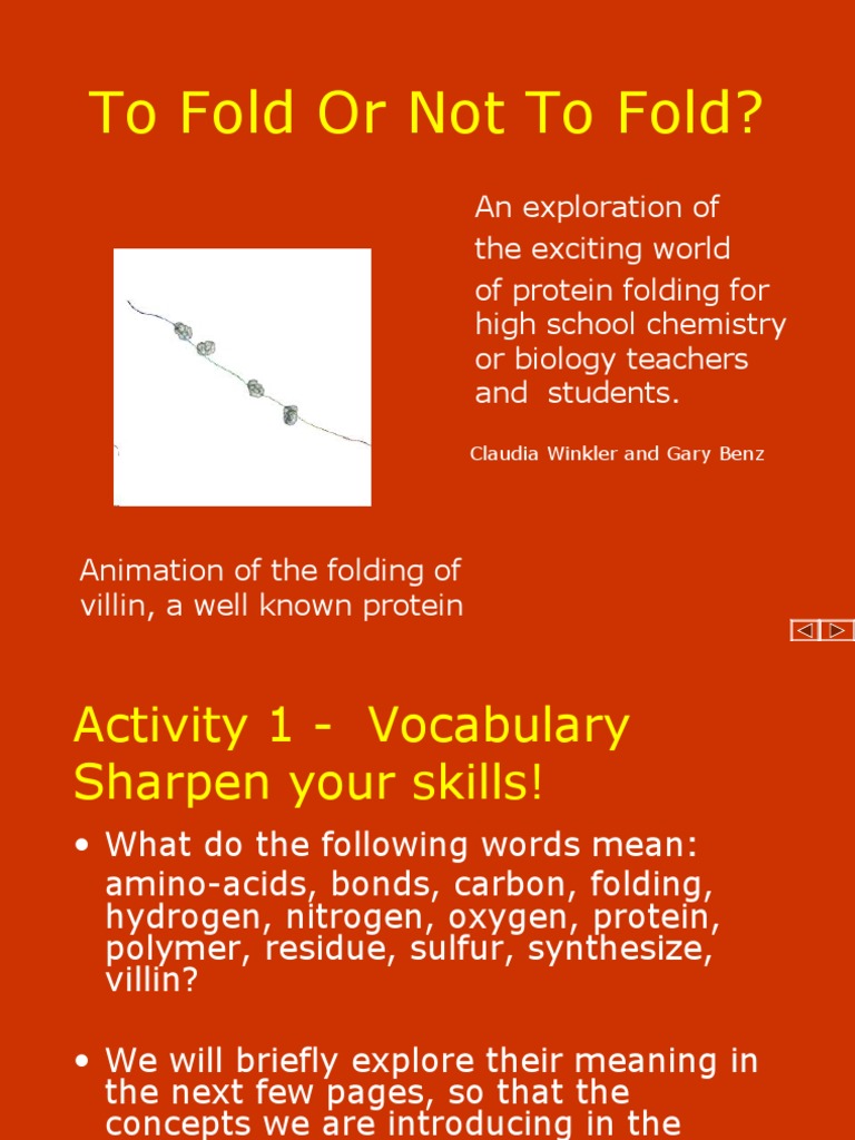 Understanding Protein Folding Basics | PDF | Chemical Bond | Amino Acid