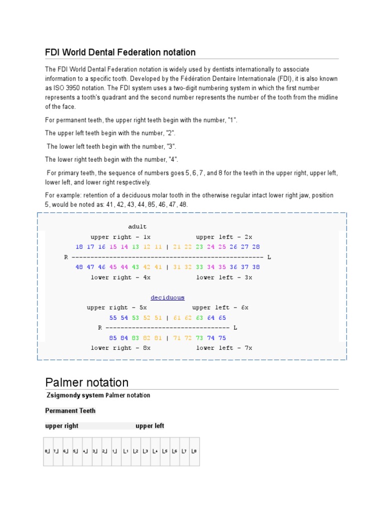 Palmer Notation: FDI World Dental Federation Notation | PDF | Health