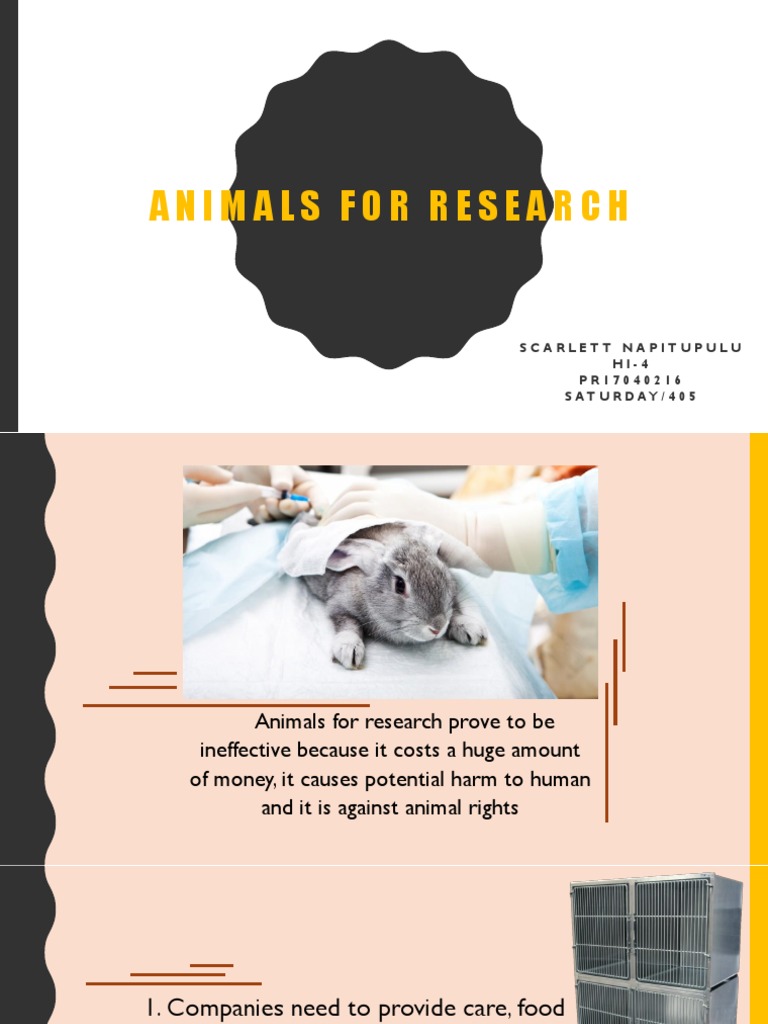 the-case-against-using-animals-for-medical-research-high-costs