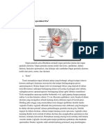 Anatomi Histologi Sistem Reproduksi Pria