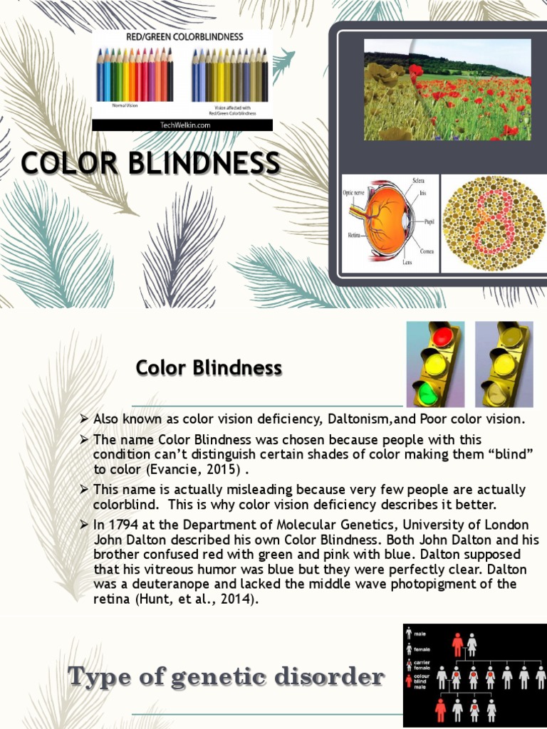An InDepth Exploration of Color Vision Deficiency Causes, Symptoms