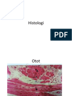 Histologi