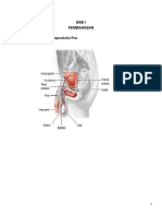 Anatomi Fisiologi Sistem Reproduksi Peria