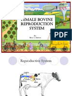 Female Bovine Reproduction System: By: Natalia Bahena