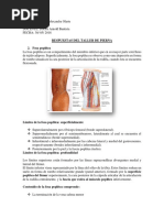 Anatomía de las Venas Perforantes Inferiores | PDF | Vena | Rodilla