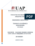 Trab_Acad_Ergonomía_Maquera_Catachura_Juan_Carlos_2014202661_Arequipa.docx