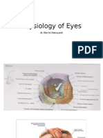 Physiology of Eyes: Dr. Dini Sri Damayant