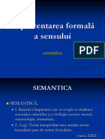 Reprezentarea Formala A Sensului