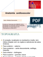 Anatomia Do Coração