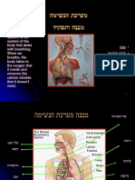 מערכת הנשימה - מבנה ותפקוד