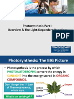 Photosynthesis - Intro and Light Dependent Reactions