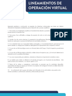 Lineamientos de operación virtual-28.pdf