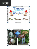 Biologia - Reino Fungi