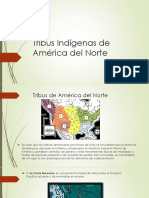 Tribus Indígenas de América Del Norte-1