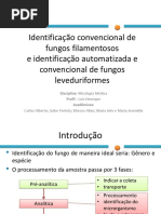 Identificao Convencional de Fungos Filamentosos1-121209122934-Phpapp02