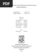 Download Laporan Anfiswan Respirasi by trachmanto SN40374669 doc pdf