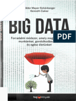 Victor Maye-Schönberger - Big Data PDF