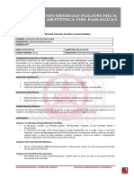 TECNICAS PROYECTIVAS II 2018 upap programa.pdf