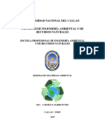 UNIVERSIDAD NACIONAL DEL CALLAO informe analisis quimico 1.docx
