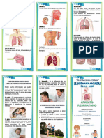 TRIPTICO Aparato Respitario