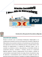 Presentación 01 RSM PDF