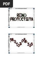 Biologia - Reino Protoctista