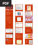 Biologia - Sangue - Transporte de Oxigênio e Dioxido de Carbono