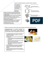 Taller Sobre Proteinas