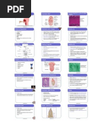 Biologia - Sistema Digestório